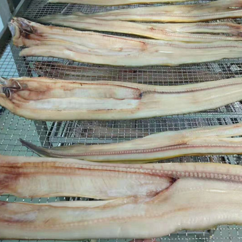 海產(chǎn)品烘干機