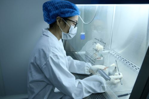 服務類 高新區(qū)優(yōu)秀產(chǎn)業(yè)展示 二